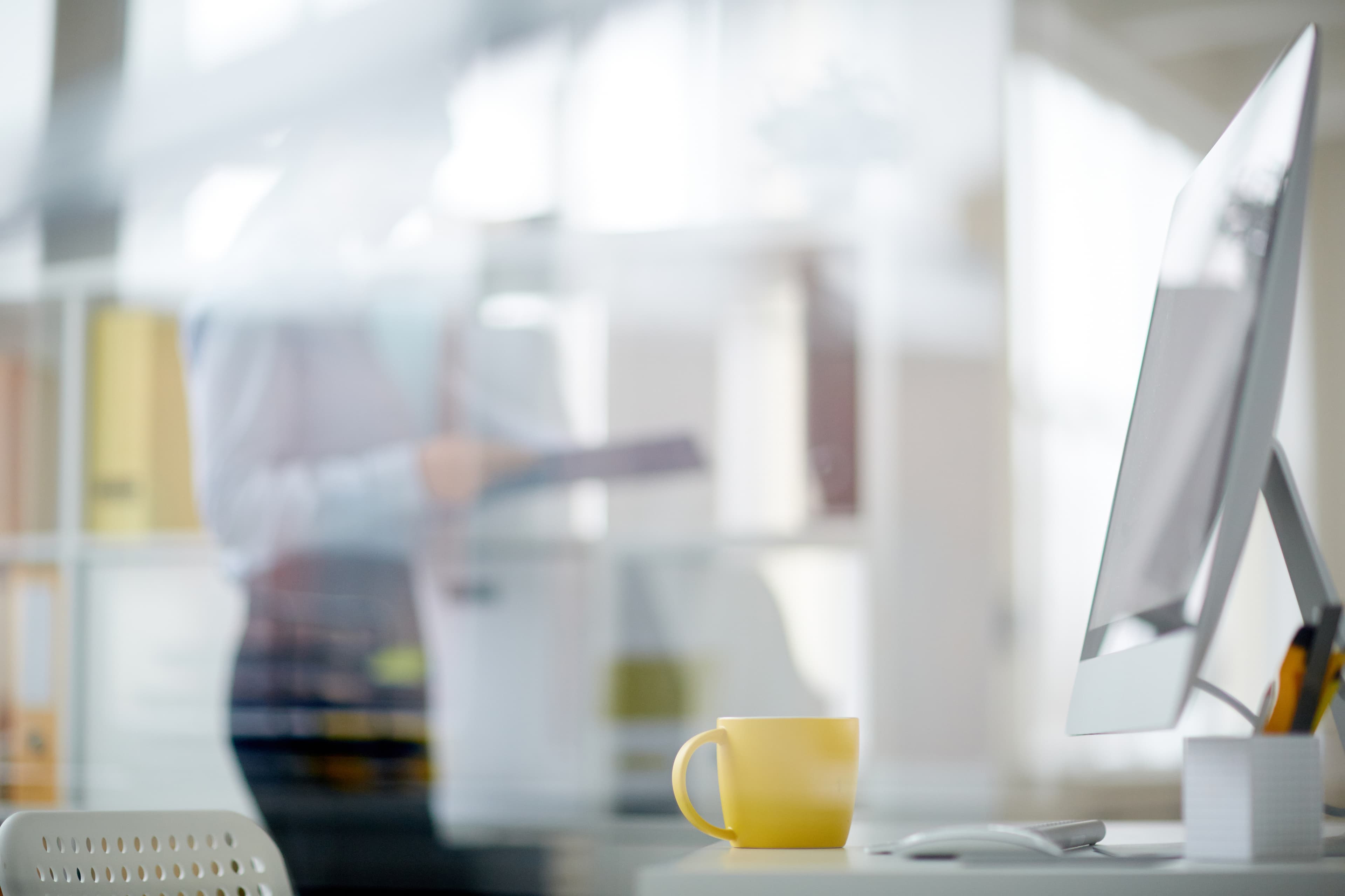 Uma floresta com um rio